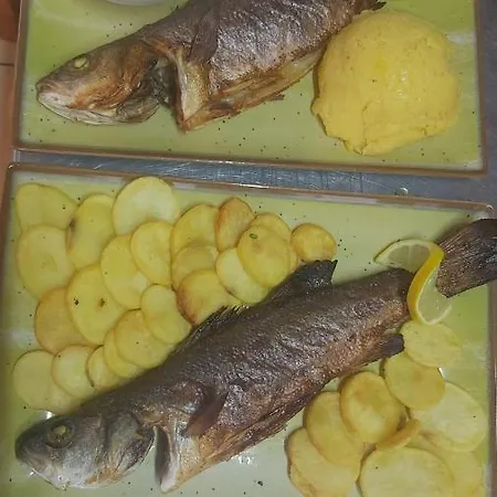 招待所 Vila Casa Maria 科斯蒂内什蒂