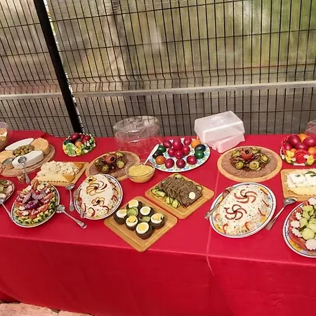 Vila Casa Maria 3* 科斯蒂内什蒂