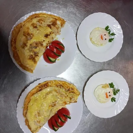 Vila Casa Maria 招待所 科斯蒂内什蒂